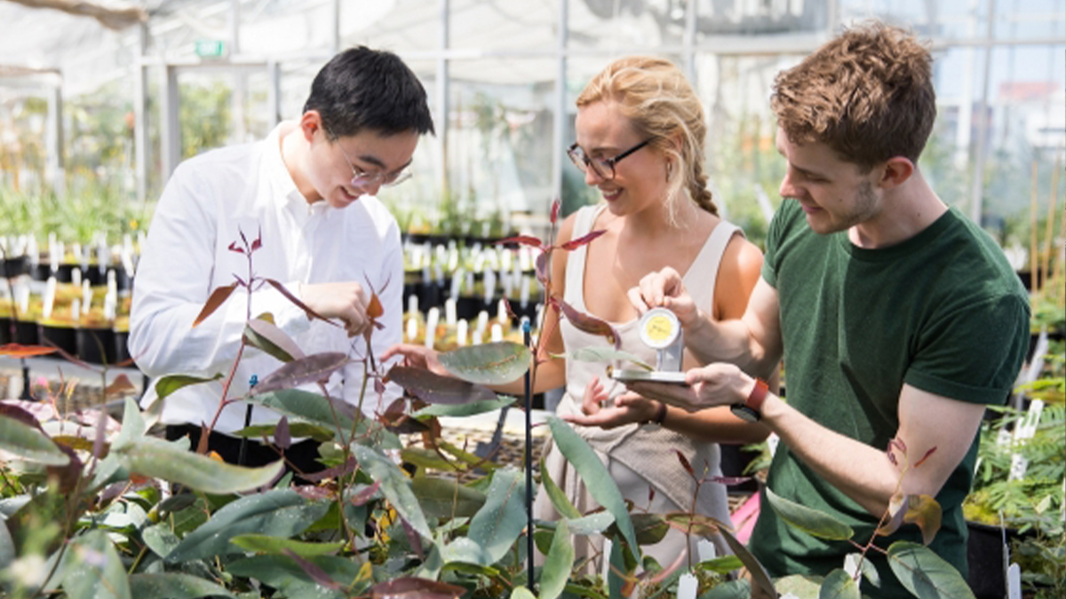 UNSW School of Biological, Earth & Environmental Sciences students in the glasshouse. UNSW has ranked in the top 1 per cent of universities in the world in the QS Sustainability Rankings. Photo: UNSW.