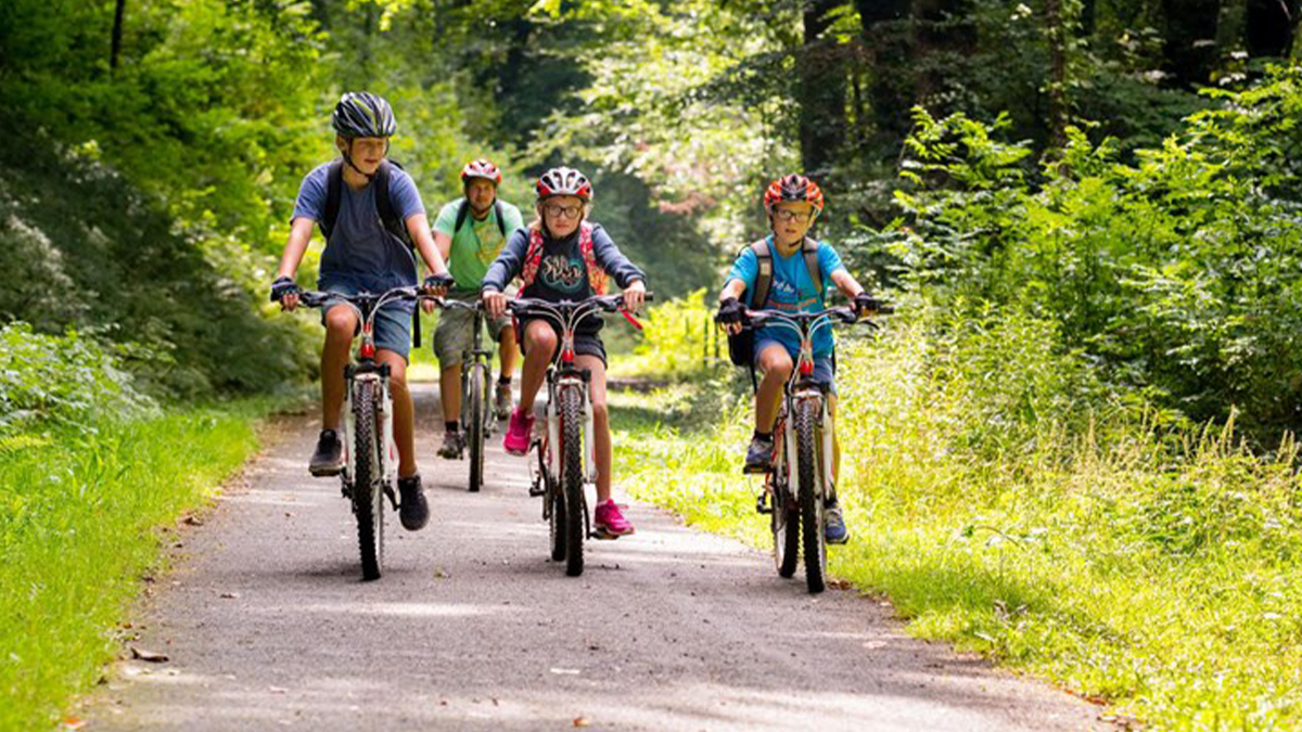 A family cycling together through a forest path 