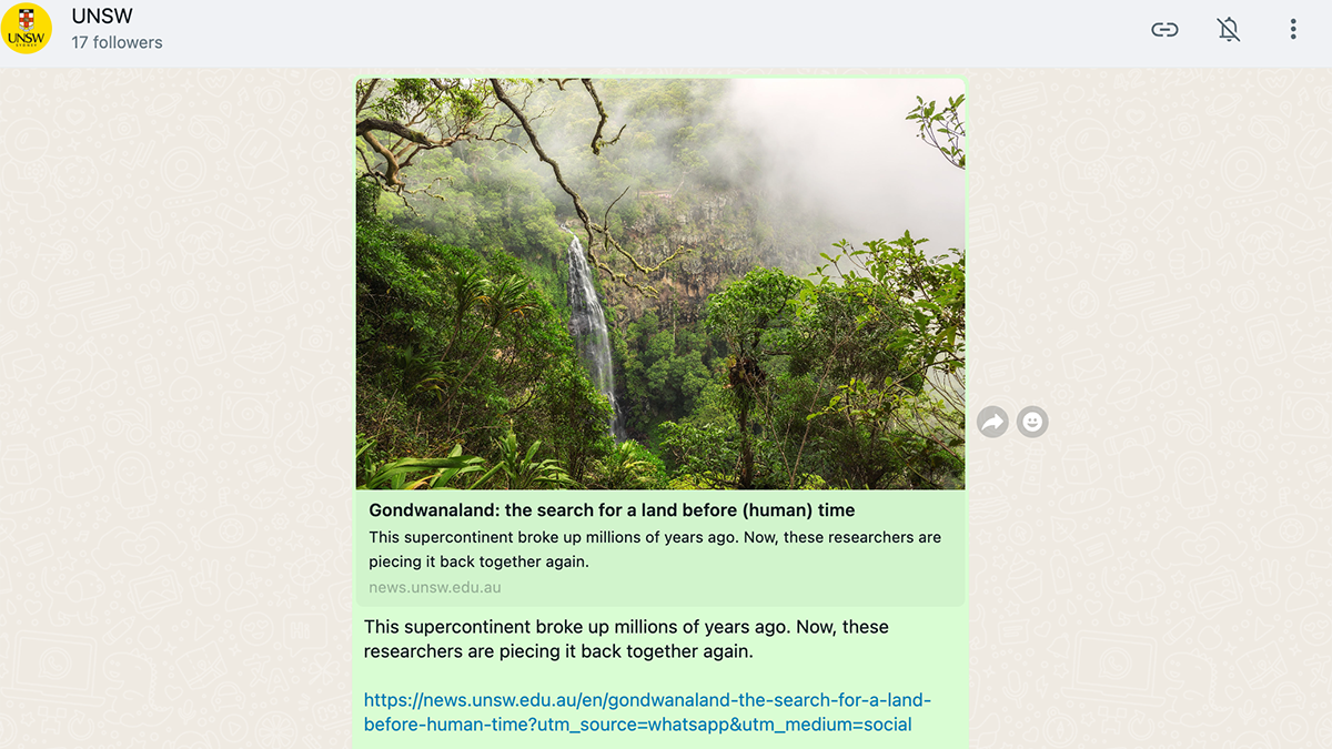 Screenshot of the UNSW Whatsapp feed with a story from the newsroom on Gondwanaland 