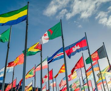 International flags flying against a blue sky