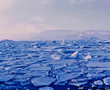 Polar ice caps with scientists 