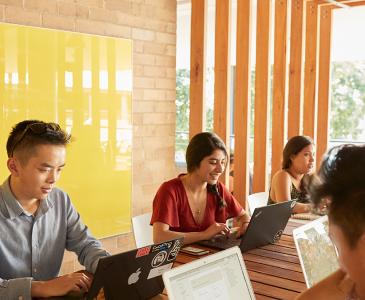 Students studying