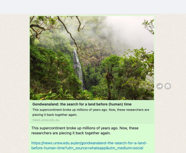 Screenshot of the UNSW Whatsapp feed with a story from the newsroom on Gondwanaland 