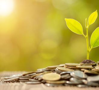 Sapling growing in coins